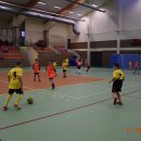 turmikol 28